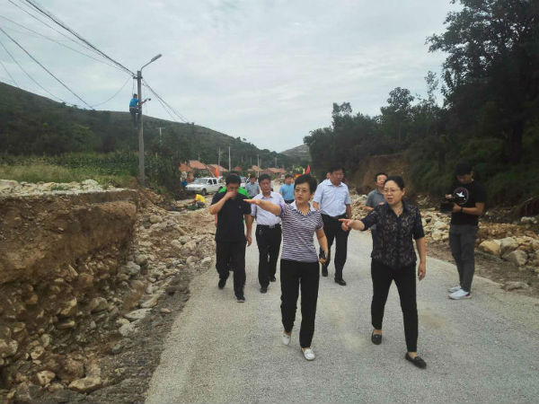 图为集团党委书记、董事长李建华一行到受灾广电全业务村查看灾情。